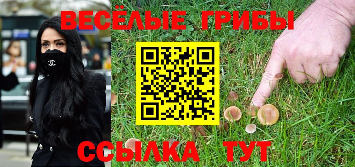 закладка  Псилоцибиновые грибы Cubensis  Вход с VPN  Зеленодольск 
