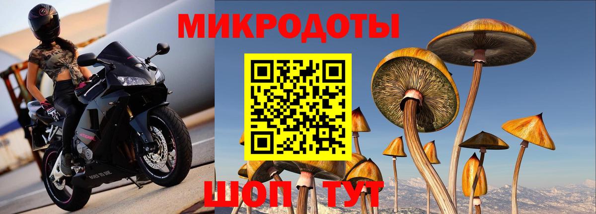 Псилоцибиновые грибы Cubensis Зеленодольск